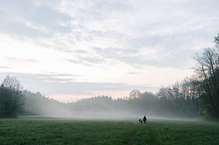 Fog or mist on the field