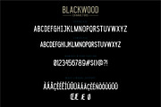 Blacklwood, a Sans Serif Font by Secondivison Supply (Thumbnail 8 of 10)