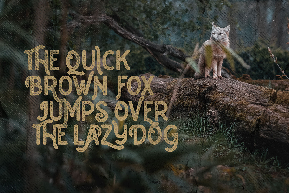 Caltons Typeface With Extra Bonus, a Sans Serif Font by Wortfice (Photo 11 of 15)
