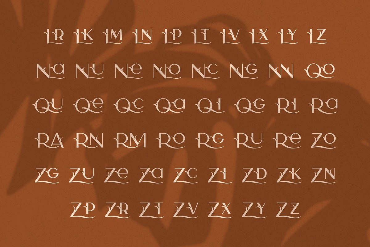 Camelia Sans - Unique Typeface, a Sans Serif Font by CCS Type (Photo 14 of 16)