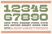 Palm Ridge Midcentury Southwest Font, a Serif Font by Molly Suber Thorpe (Thumbnail 5 of 15)