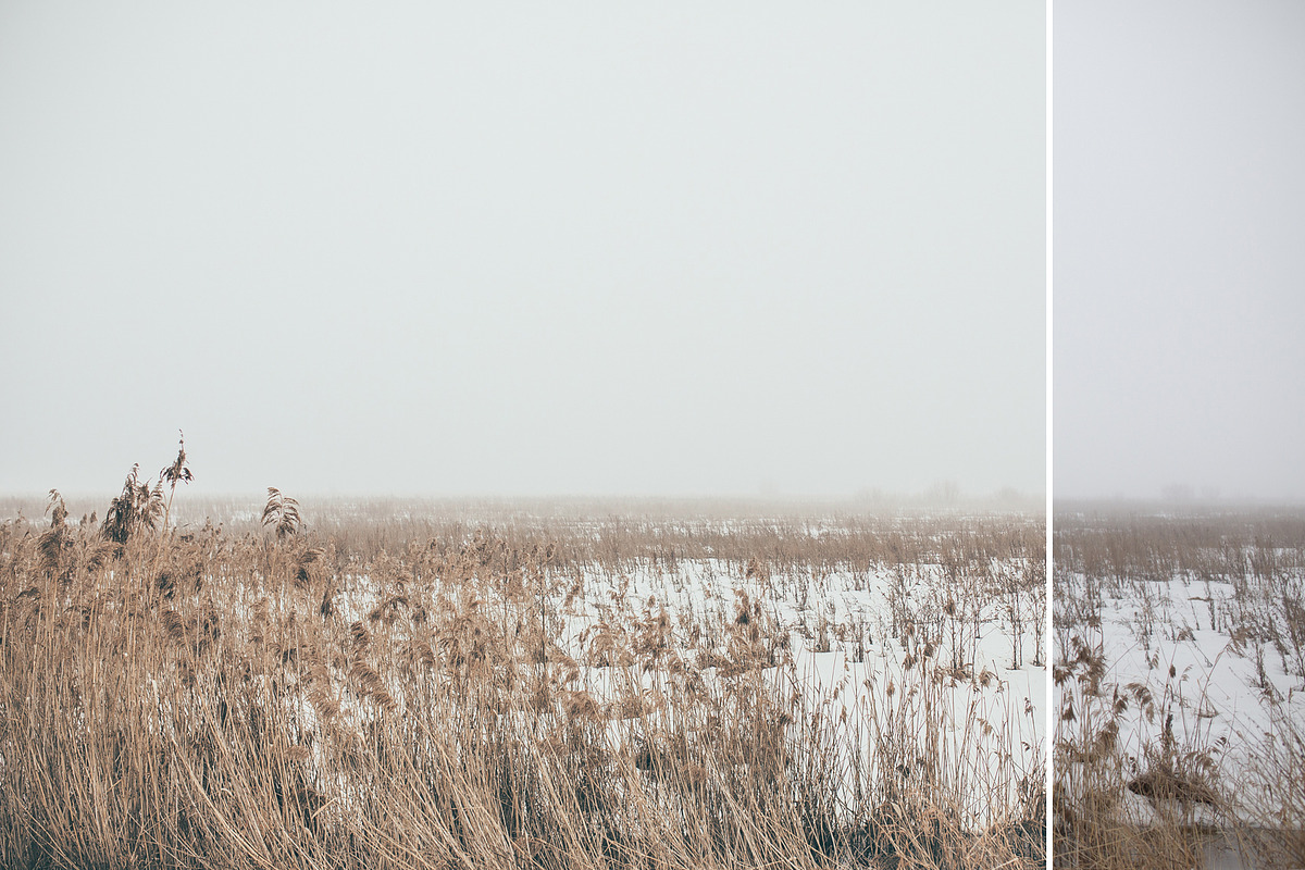 Foggy fields- 6 presets for Lr, an Action Add-On by Graphics, Presets, Photos (Photo 5 of 7)