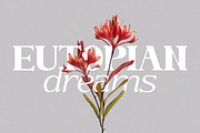 Bs Giordano Family, a Serif Font by Black Studio (Thumbnail 12 of 12)