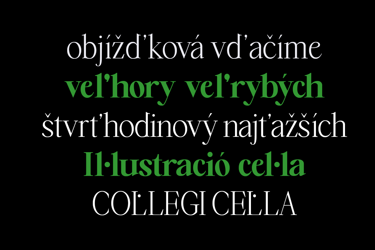 Falèfion – (14 Styles), a Serif Font by Madjack.font (Photo 4 of 11)
