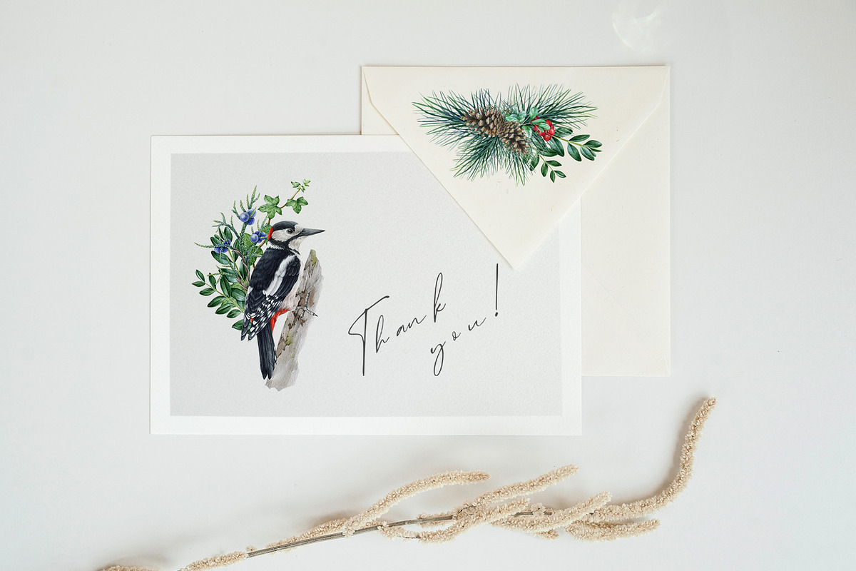 Forest Birds Watercolor Set, an Animal Illustration by AnitaPol (Photo 25 of 26)