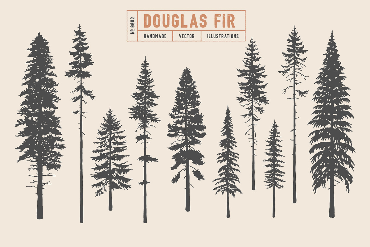 Woodland Tree Set | Illustrations, an Illustration by Max Lockwood (Photo 3 of 6)