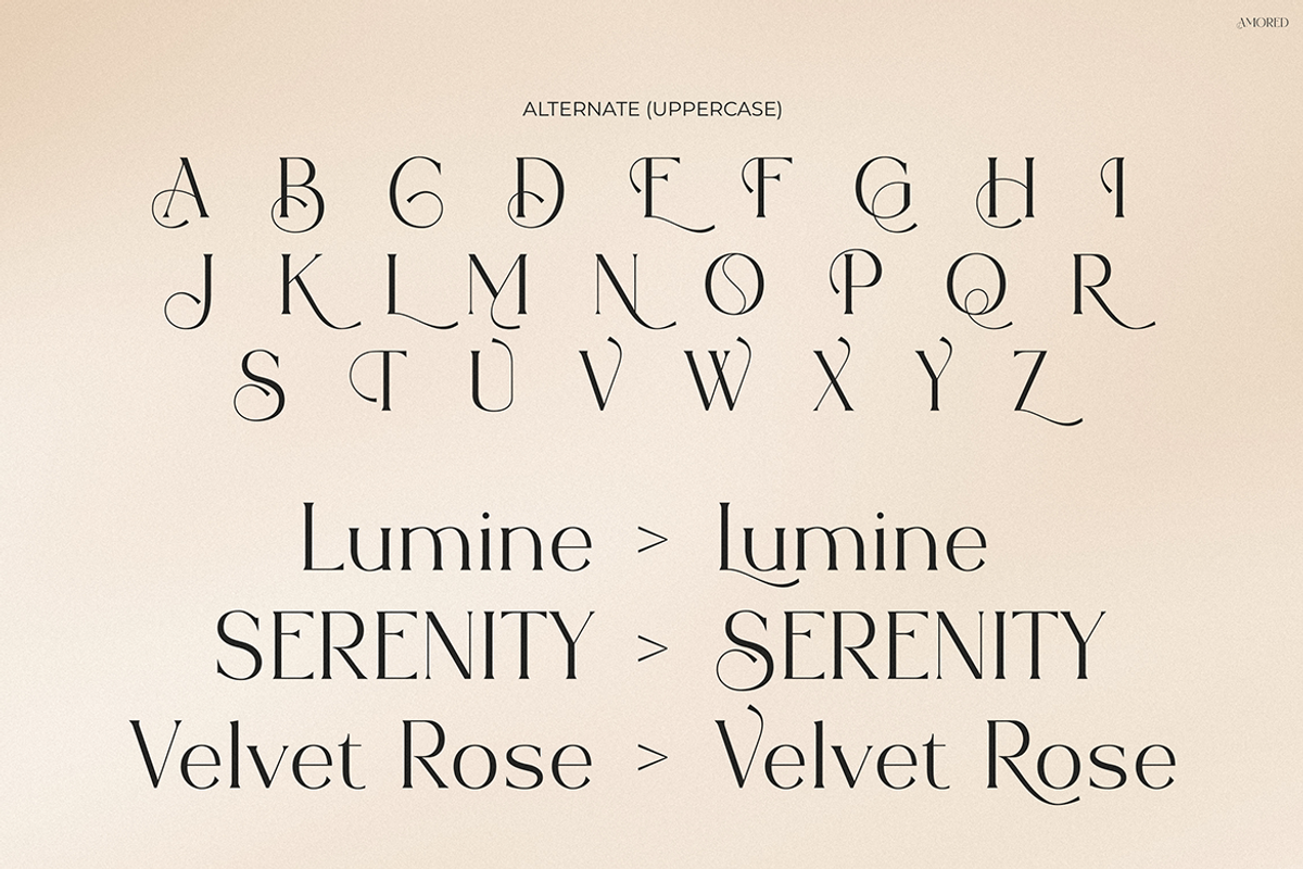 Amored, a Serif Font by Pinisi ART (Photo 2 of 10)