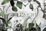 Timeless Greenery – Crafted Clip Art, a Texture Illustration by Scott Howard (Thumbnail 1 of 7)