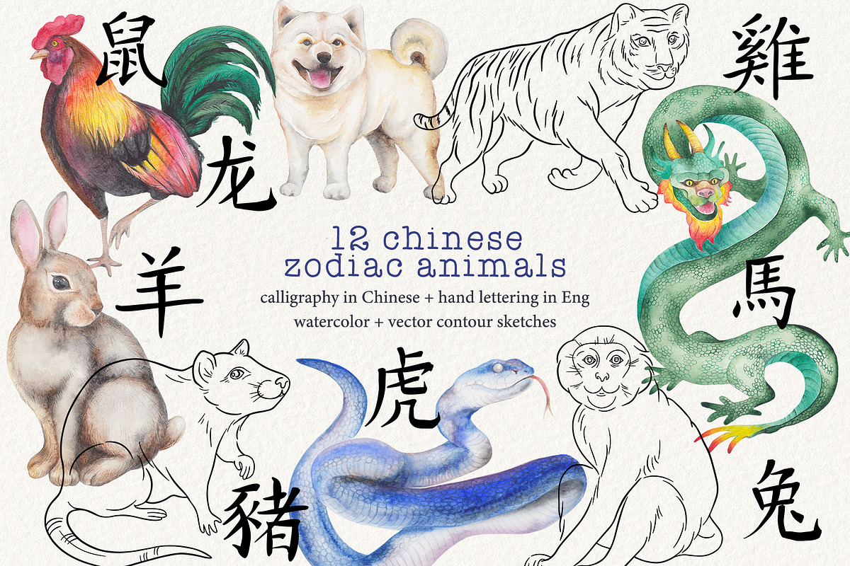 12 Chinese Zodiac Animals set, an Animal Illustration by Alena Solonshchikova (Photo 1 of 13)