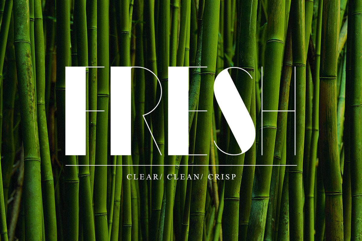 Font Bundle | 25 in 1, a Sans Serif Font by Anthony James (Photo 22 of 45)