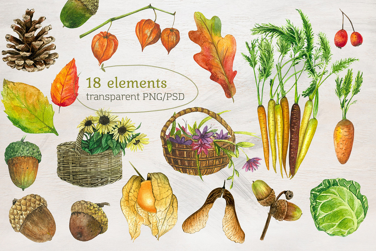 Forest Story Watercolor Collection, an Animal Illustration by Nastilustra (Photo 3 of 8)