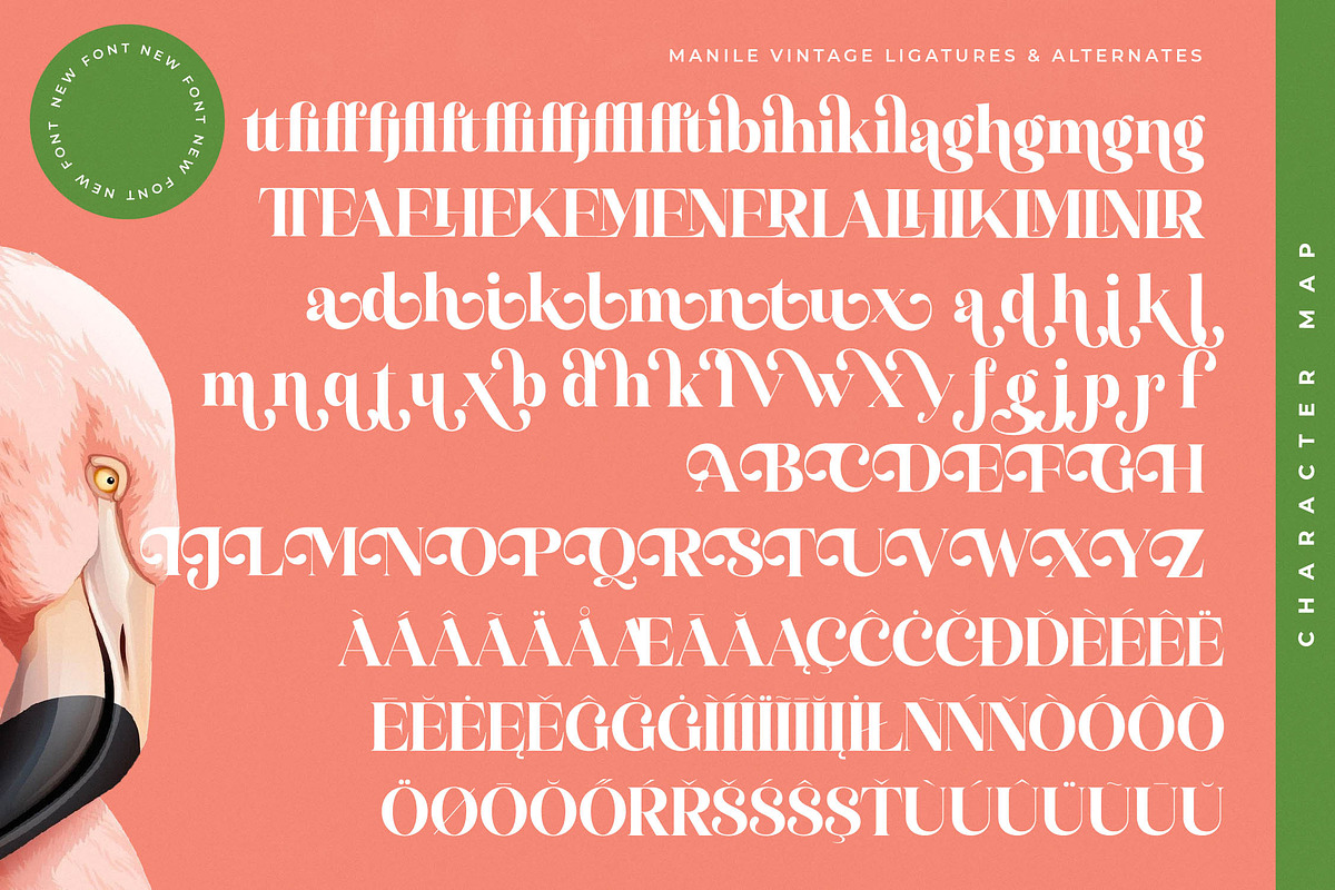 Manile Vintage Modern Bold Serif, a Serif Font by timelesstype.co (Photo 19 of 20)
