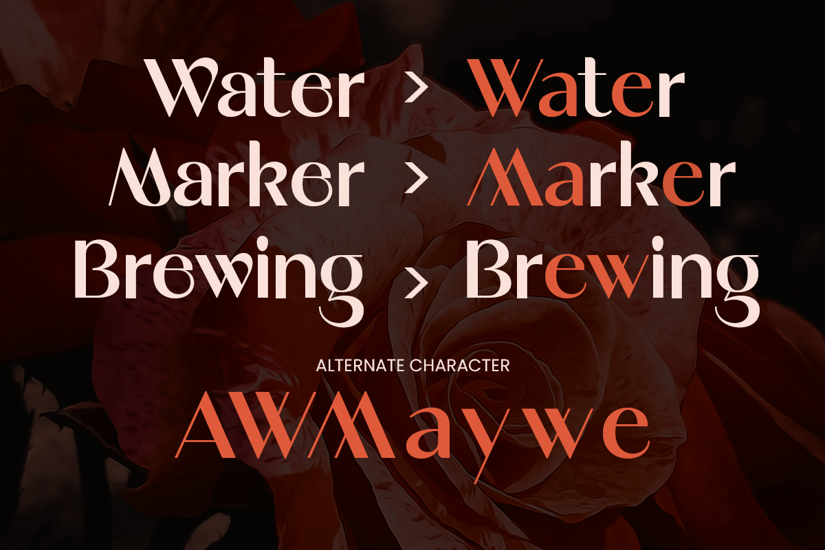 Malika - Elegant Minimalist Font, a Sans Serif Font by Sensatype (Photo 9 of 12)