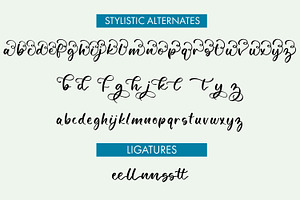 Scotch Argus Butterfly Script Font