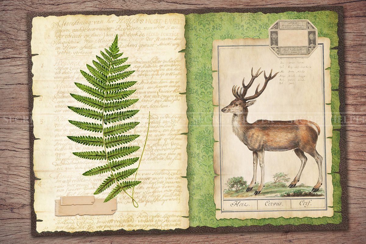 Forest Scrapbooking Kit, an Animal Illustration by Secret Helper (Photo 6 of 9)