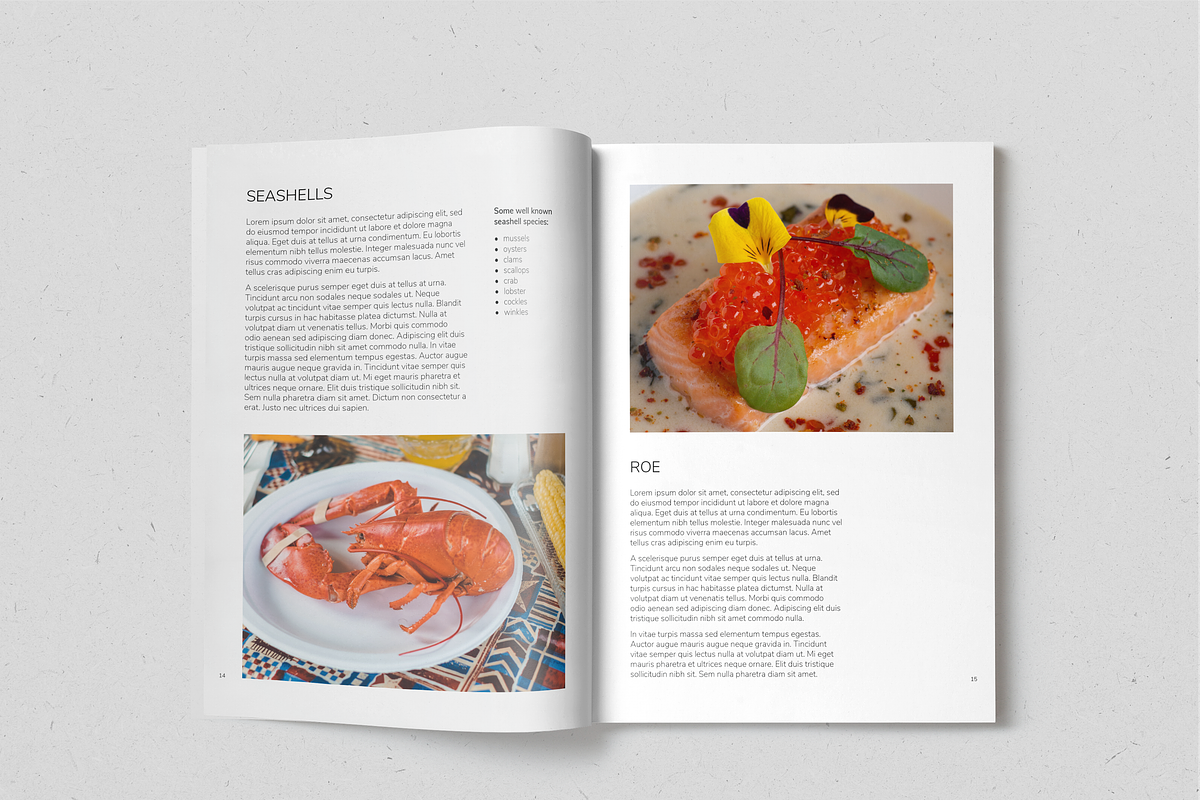 Fish&Seafood Recipe Book, a Magazine Template by SonaGeciova (Photo 8 of 17)