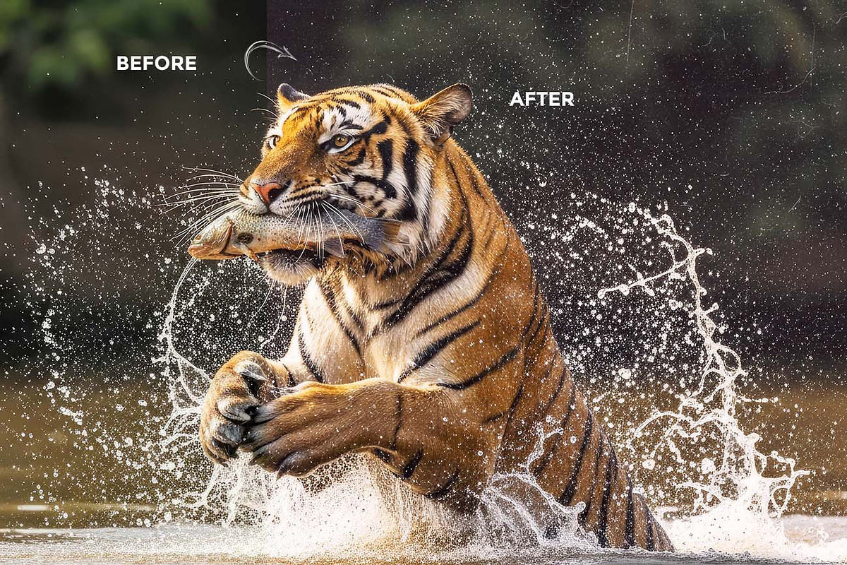 25 Analog FX Photoshop Action Bundle, an Action Add-On by Studio Retouch (Photo 47 of 59)