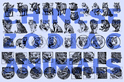 Chinese Culture vector illustrations, an Object Illustration by Nocturnal Wolf (Thumbnail 7 of 19)