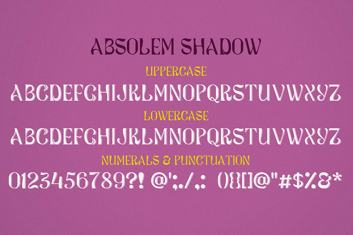ABSOLEM - Stylish Serif, a Serif Font by Anastasia Cuza (Photo 6 of 10)