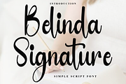 Belinda Signature, a Handwritten Font by FreshTypeINK (Thumbnail 1 of 8)