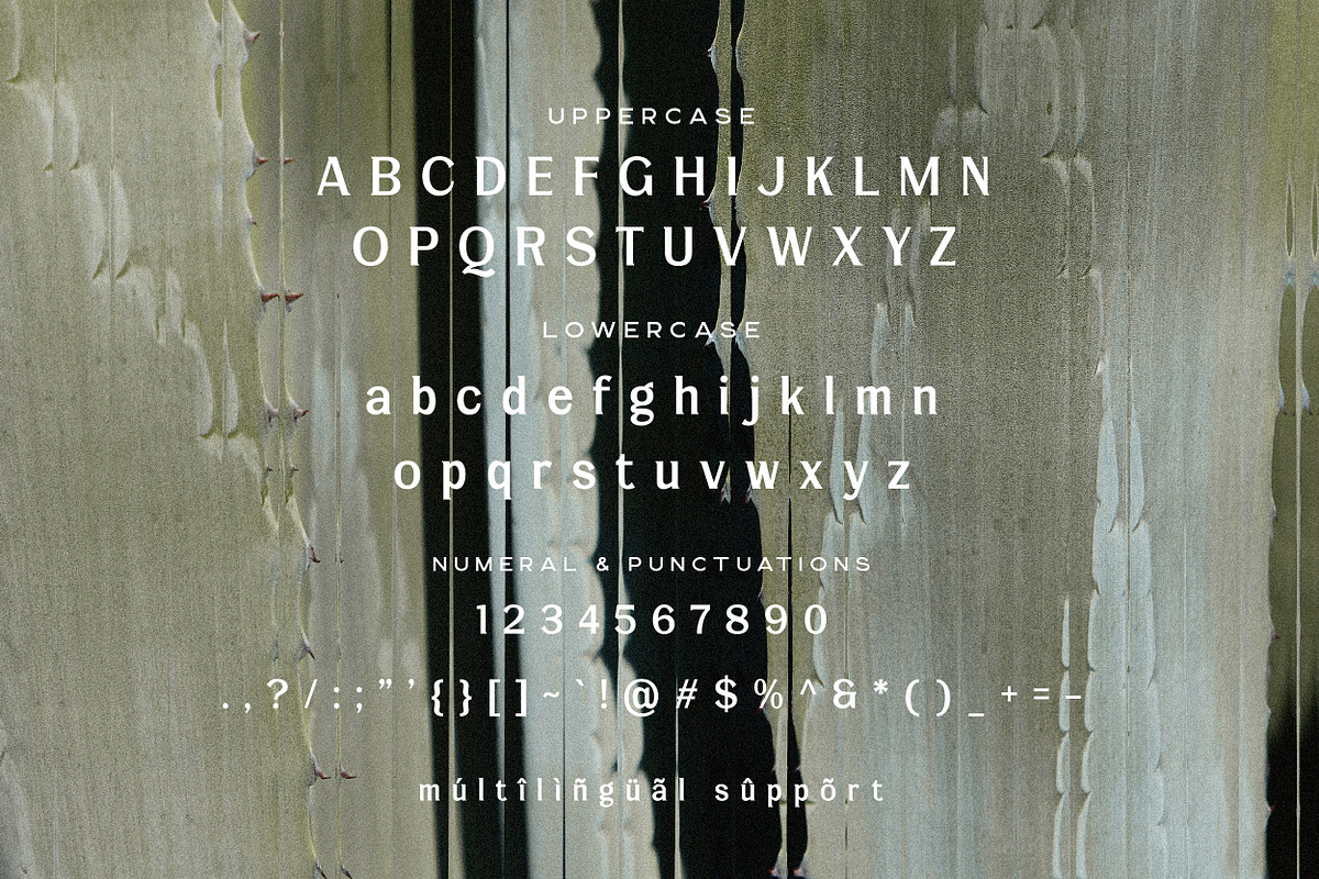 Lamrata Serif Display Font, a Serif Font by Hishand Studio (Photo 8 of 10)