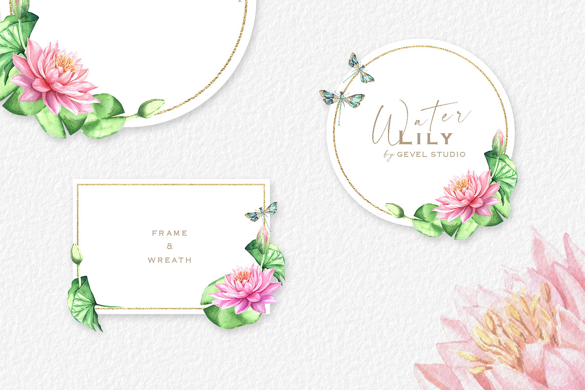 Watercolor Pink Waterlily clipart, an Illustration by GevelStudio (Photo 3 of 5)