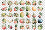 Watercolor Fruit Set Exotic, a Food Illustration by DreamCafeArt (Thumbnail 5 of 5)