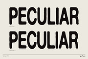 Normal TM – Gently Handled Grotesk, a Sans Serif Font by Type Mania (Thumbnail 4 of 12)
