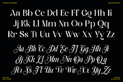 Stylish Harmony - Duo Luxury Font, a Serif Font by Font Liner (Thumbnail 9 of 10)