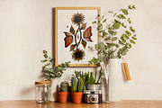 Autumn Moths & Dried Botanicals, an Animal Illustration by Ink Stories (Thumbnail 6 of 18)