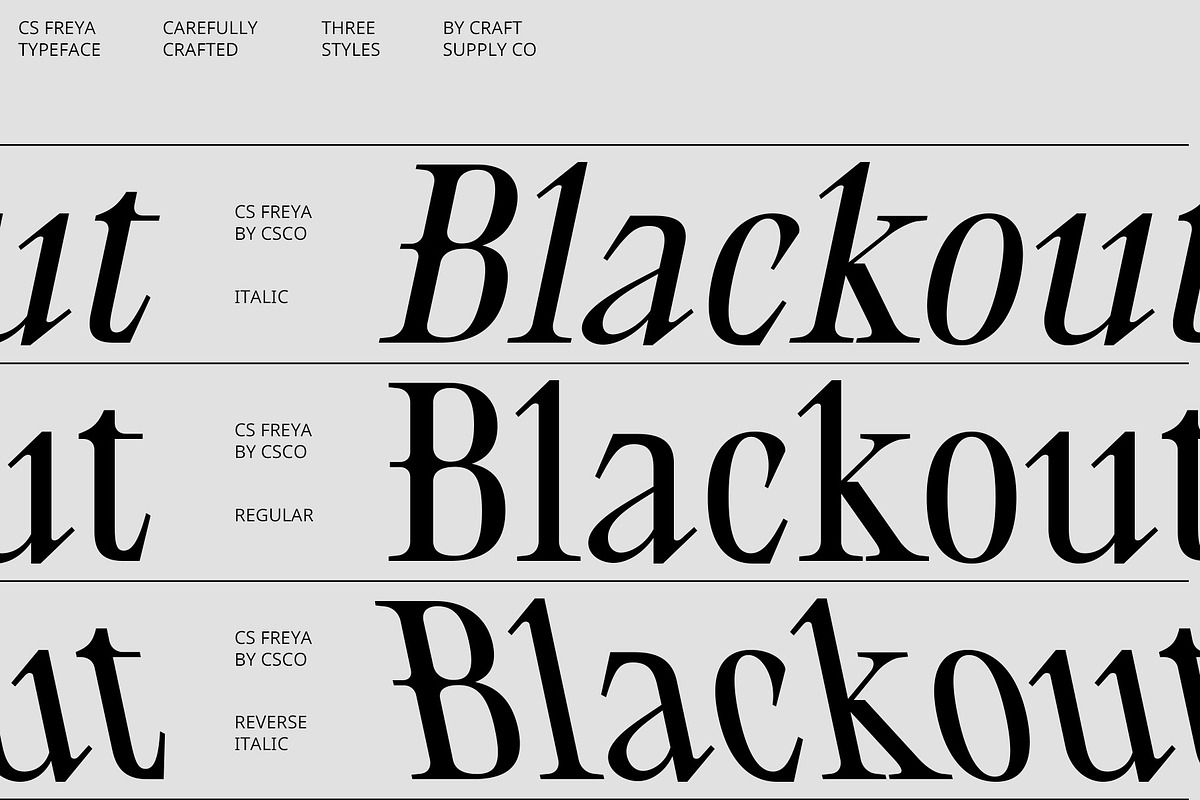 CS Freya – Serif Font, a Serif Font by Craft Supply Co. (Photo 3 of 8)