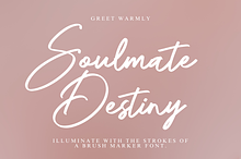 Soulmate Destiny