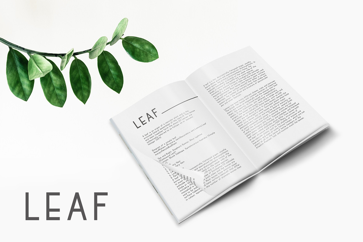 Maode, a Sans Serif Font by alphArtype (Photo 5 of 8)