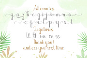Binttang Selfianto - Script Font, a Script Font by StringLabs (Thumbnail 12 of 12)