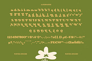 Matcha Holiks Groovy Serif Font, a Serif Font by timelesstype.co (Thumbnail 19 of 20)