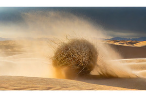 A tumbleweed rolling through a, a Background Photo by Igor Tichonow