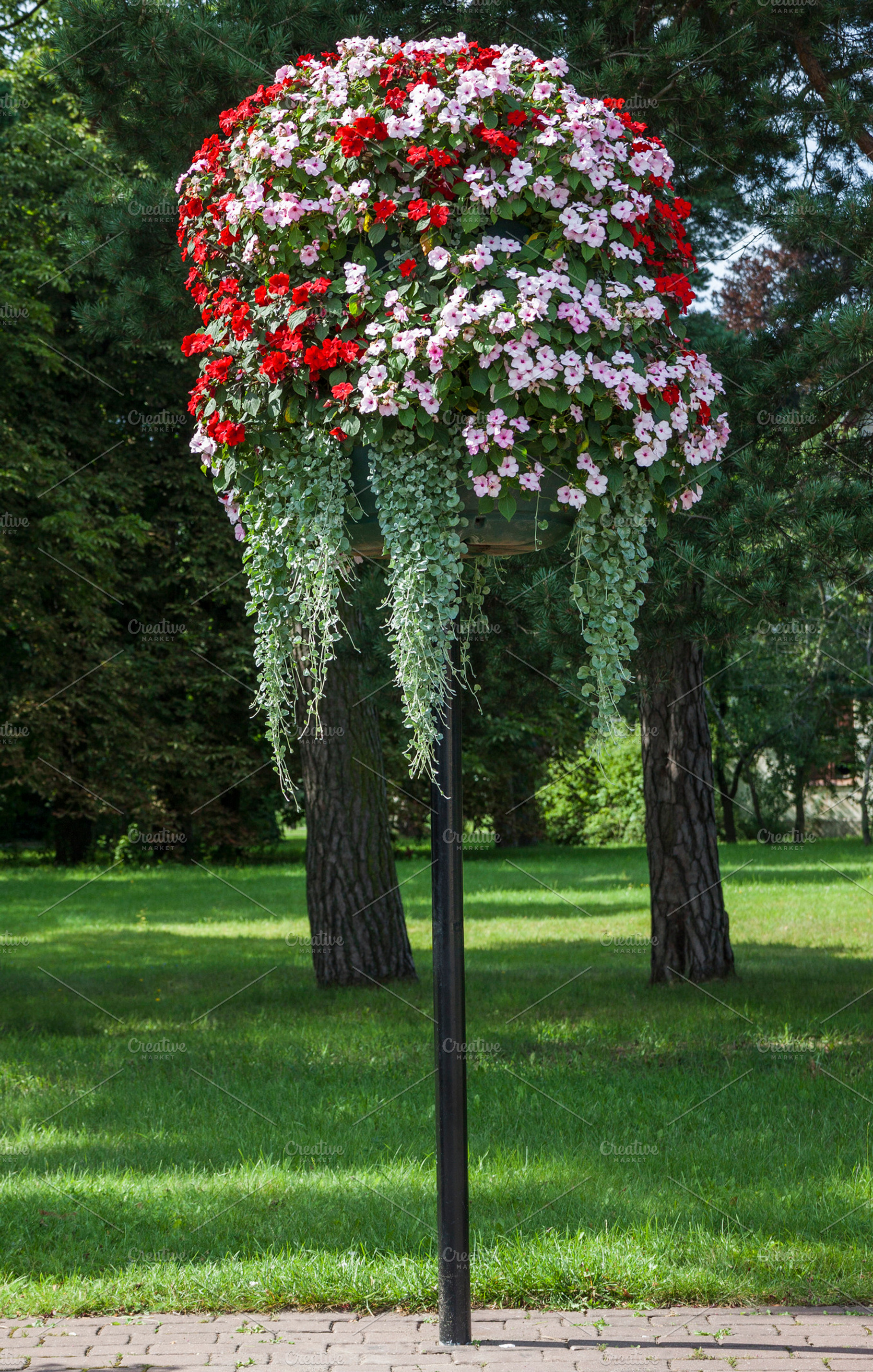Flower arrangement in the park, a Nature Photo by BOOCYS
