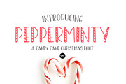 HAPPY HOLIDAYS Font Family, a Font by Blush Font Co. (Thumbnail 4 of 12)