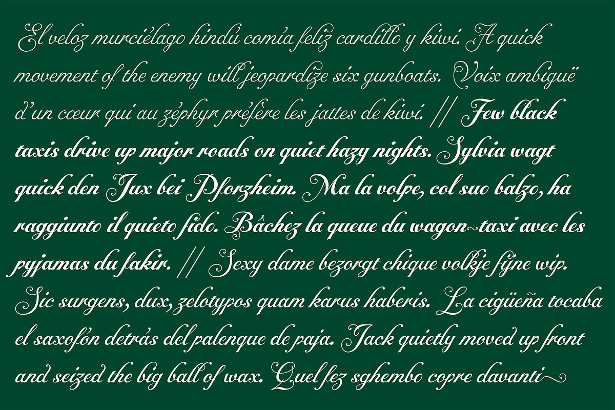 Alipe Script, a Script Font by TeGeType foundry (Photo 5 of 6)