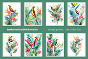 Exotic Botanical Bird Illustration, a Decorative Illustration by Housui Patterns (Thumbnail 3 of 12)