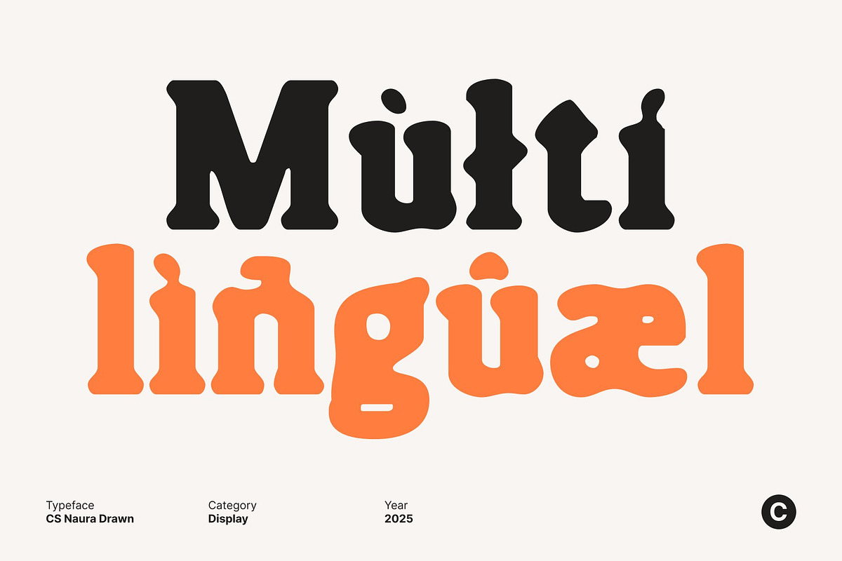 CS Naura Drawn, a Serif Font by Craft Supply Co. (Photo 5 of 8)