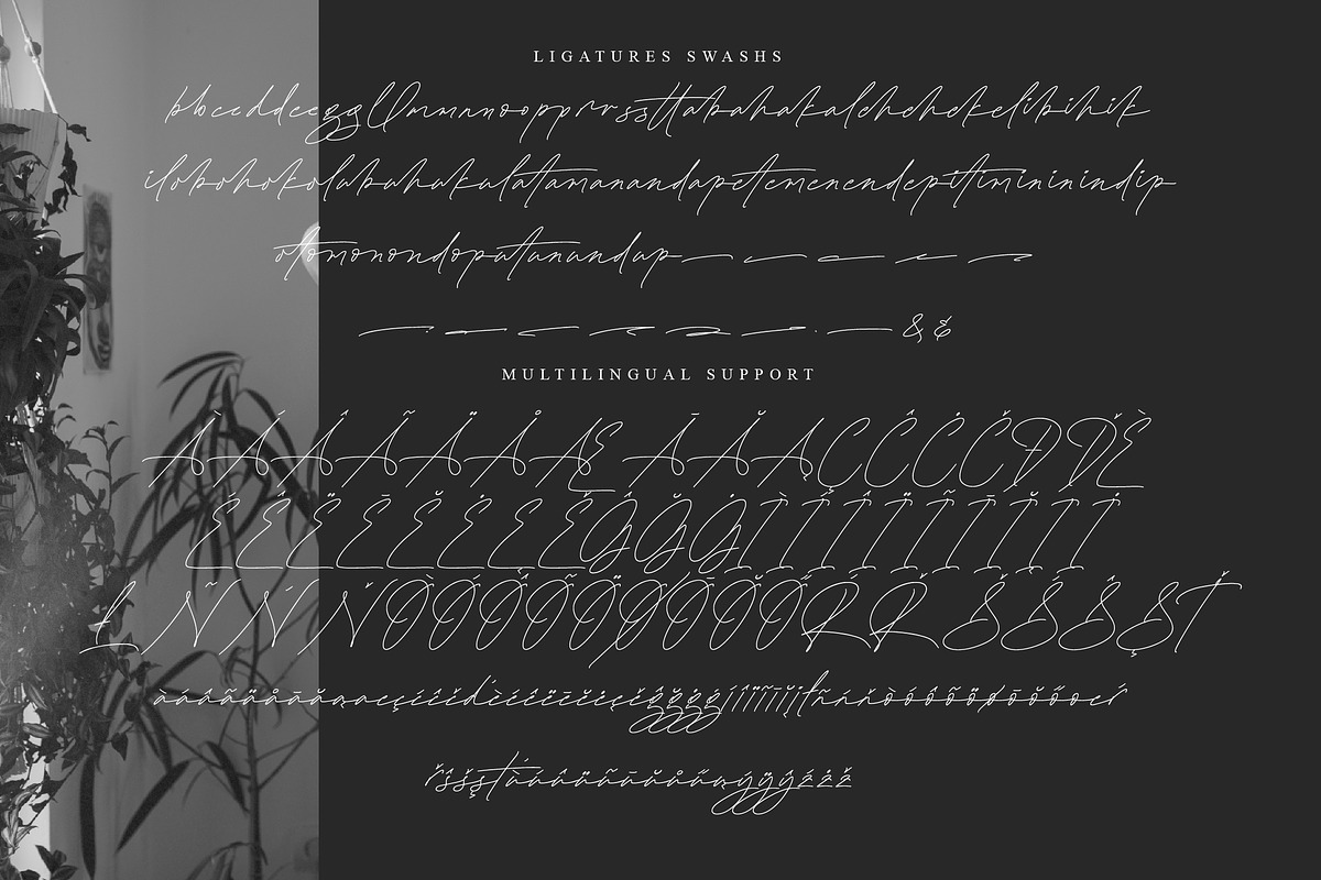 Plamstimes, a Handwritten Font by operatype.co (Photo 14 of 15)