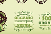 Vintage Green Vector Badges, an Object Graphic by Mikko Lemola (Thumbnail 4 of 4)