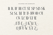 Courage Apprentice Serif Font, a Serif Font by Heinzel Std (Thumbnail 10 of 11)
