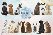 Watercolor Dog Clipart. Dog Breeds, an Animal Illustration by ColorfulPT (Thumbnail 1 of 8)