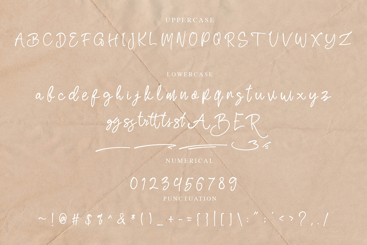 Renatta - Elegant Script Font, a Script Font by NTC Graphic (Photo 8 of 9)