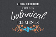 Botanical Decorative Elements, a Decorative Illustration by Solana (Thumbnail 5 of 6)