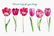 Tulips, an Illustration by OlyaSenko (Thumbnail 2 of 6)