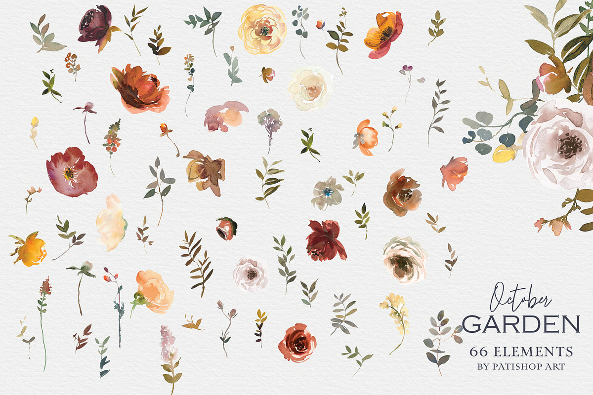 Fall Watercolor Floral Clipart Set, a Decorative Illustration by Patishop Art (Photo 6 of 17)