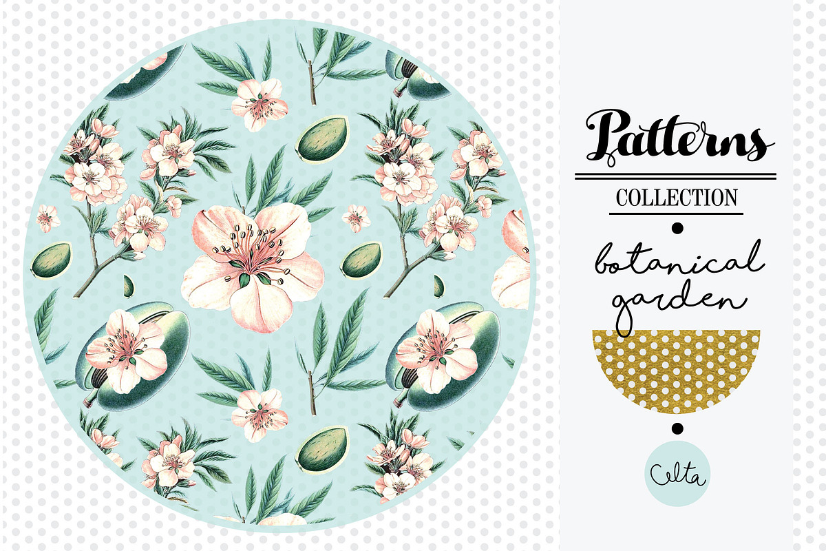 Botanical garden pattern - Almond, a Pattern Graphic by Klipa Illustrations (Photo 1 of 7)